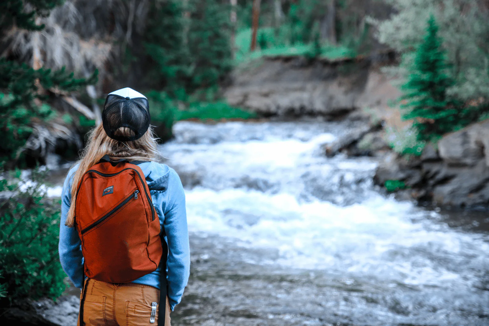 Daylight Backpack - Image 72