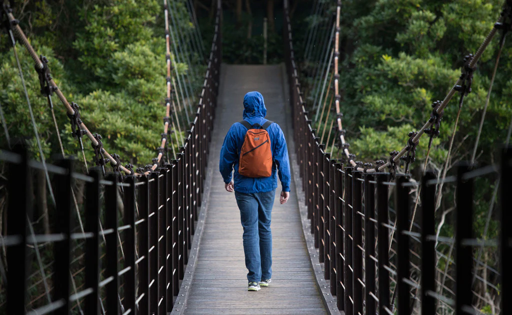 Daylight Backpack - Image 75