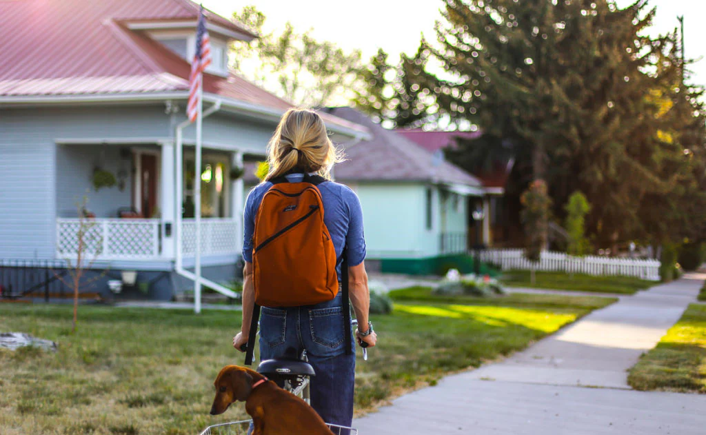 Daylight Backpack - Image 94